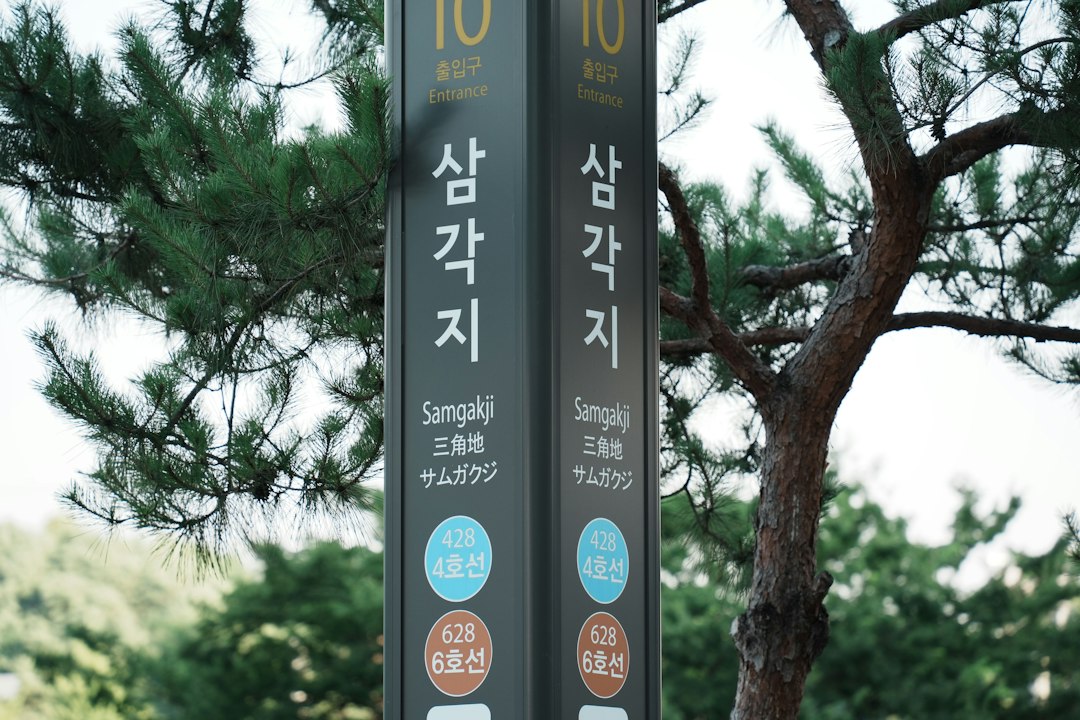 복근운동기구 참고 이미지 2